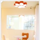 켈리 독, 강남 애견호텔 애견유치원 이미지