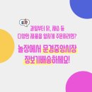 스모스통닭