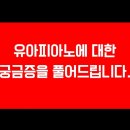 엘리피아노음악학원 이미지