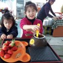 수문농장 네이버블로그