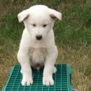 건영축산 이미지