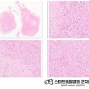 스마트동물병원 군자점 이미지