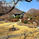 양평 데이트 코스 내츄럴가든529 주말 가족여행 계곡 정원있는 카페