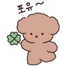 몽몽이 애견미용 이미지