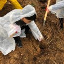 강서구-74 이미지