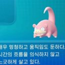 행복은여기에 이미지