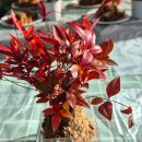 윤희공방 이미지