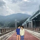 한강을 담는 맑은 물그릇: 충주 다목적댐