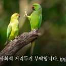 별천지 이미지