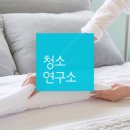 옐로우독