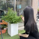 추천 : 클라우썸헤어 솔직후기❤️ 그레이 염색, 클리닉 성공 후기 ‼️❤️ 예비신부 웨딩 헤어/ 능평리 미용실...