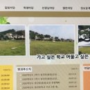 비안도초 이미지