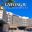 더케이호텔경주 실외수영장 | 경주 힐튼호텔 조식 뷔페 레이크사이드 수영장 숙소 찐 후기