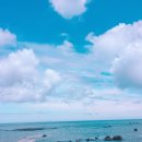 올레 15코스 바다와 한라산이 보이는 신축펜션에서 장단기 임대합니다. 이미지