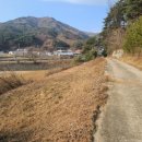 설악IC공인중개사사무소 이미지