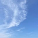 하문디자인