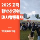 황금농장 | 평택 고덕 축제 마시멜롱 축제 후기 | 가족 나들이 체험·포토존·야간개장 총정리