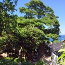 모시개민박 이미지