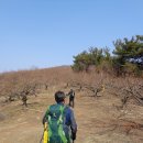 지재농장 2 Daum카페