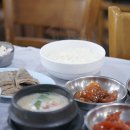 시골이모 순두부 내돈내산 속초 정식 맛집