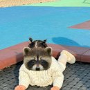 송이조각공원 화장실 이미지