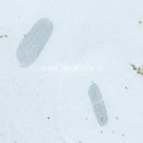 한지마트