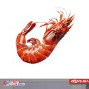 봉담 장항외과
