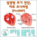 보다듬동물병원 네이버블로그