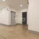 압구정-207 이미지