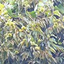 임실중앙요양병원 이미지