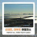 해솔길펜션 | 선재도 여행, 대부도부터 구봉도해솔길 여행코스 총정리