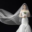 스튜디오198 네이버블로그