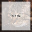 원리탐구