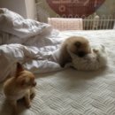 종훈농장 이미지