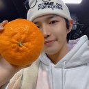 천혜향