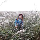 배내배내 이미지