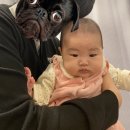 비에스정형외과의원 이미지