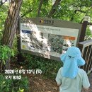 CU김포대명항점 | 건강 기록 316일 (ft. 서해랑 길 99코스)