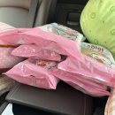 GS25 충주골드점 | GS25x복슬이 복슬이빵 출시 ! 복슬이의 딸기쿠키 크루아상🍓🥐 내돈내산 후기