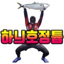 회뜨는 선장님