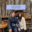 겨울제주라 쓰고 봄제주라 읽는 제주여행 :) | 4박 5일 | 숙소 | 렌트 | 맛집 | 가볼만한 곳
