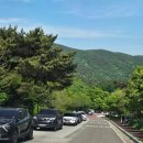 &#39;24년 황매산 철쭉 구경 리뷰, 애견동반 불가.