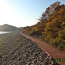 완도 정도리 구계등 이미지