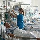 암에 관한 최근 뉴스와 정보 이미지