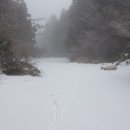 애향목장 이미지