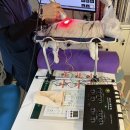 소담동물병원 이미지