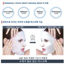 셀그래프트
