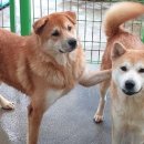 우리와주식회사 이미지