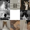 💍 W8 | 웨딩 아이폰 스냅 ‘클래식바이현’ 계약 후기 (+ ‘오버더문’, ‘루고사로즈’)