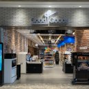 베토벤당구장 | [진도]쏠비치 진도 다이닝 &amp;카페 및 부대시설 소개, 인피니트풀 수영장 후기